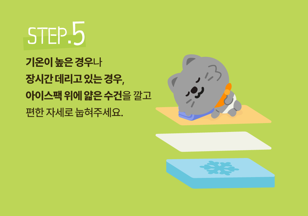 5. 기온이 높은 경우나 장시간 데리고 있는 경우, 아이스팩 위에 얇은 수건을 깔고 편한 자세로 눕혀